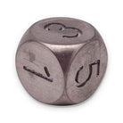 True Metal 16mm D6 - Titanium-Metal Dice-Norse Foundry-Norse Foundry-dungeons & dragons-d&d dice-rpg d6-metal d6-d&d-d6-luxury dice-perfect for tabletop rpgs
